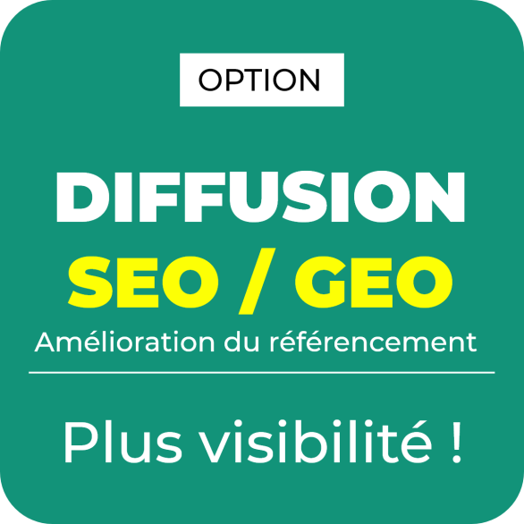 Option augmenter le référencement SEO et GEO de votre offre emploi sur le portail Light ZOOM Lumière