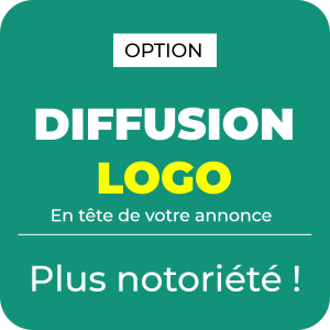 Option diffuser votre logo en tête de votre offre d'emploi sur le portail Light ZOOM Lumière