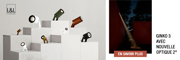 Exemple de bannière publicitaire en haut d'une newsletter professionnelle ou d'un article en ligne sur Light ZOOM Lumière – Top Ads